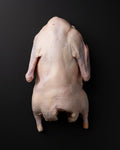 Frozen Whole Duck (6 lb Avg | 3 Days Notice)