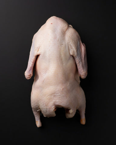 Frozen Whole Duck (6 lb Avg | 3 Days Notice)