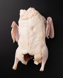 Frozen Whole Duck (6 lb Avg | 3 Days Notice)
