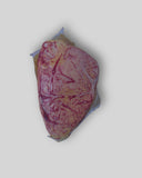 NZ Grass-Fed Picanha (Rump Cap) – Frozen, 1 pcs/pack