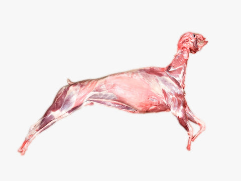 Whole Ontario Fresh Goat ( Cut and Package)